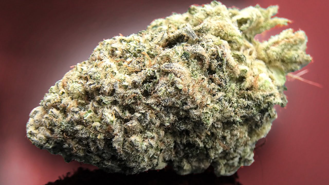 Khalifa Mints Marijuana Monday