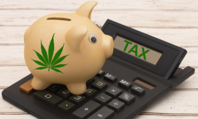 Marijuana Retail Report