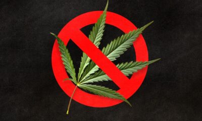 Mississippi Gov. Vetoes Medical Cannabis Reform Bills 