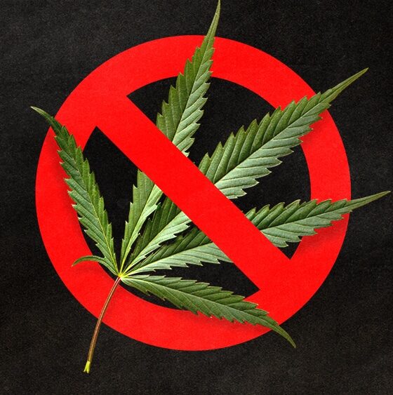 Mississippi Gov. Vetoes Medical Cannabis Reform Bills 