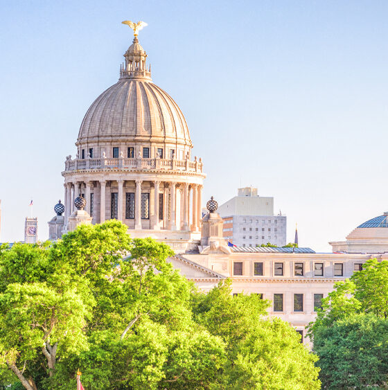 Mississippi Senate Passes Medical Cannabis Reform Bill with ‘Right to Try’ Provisions  