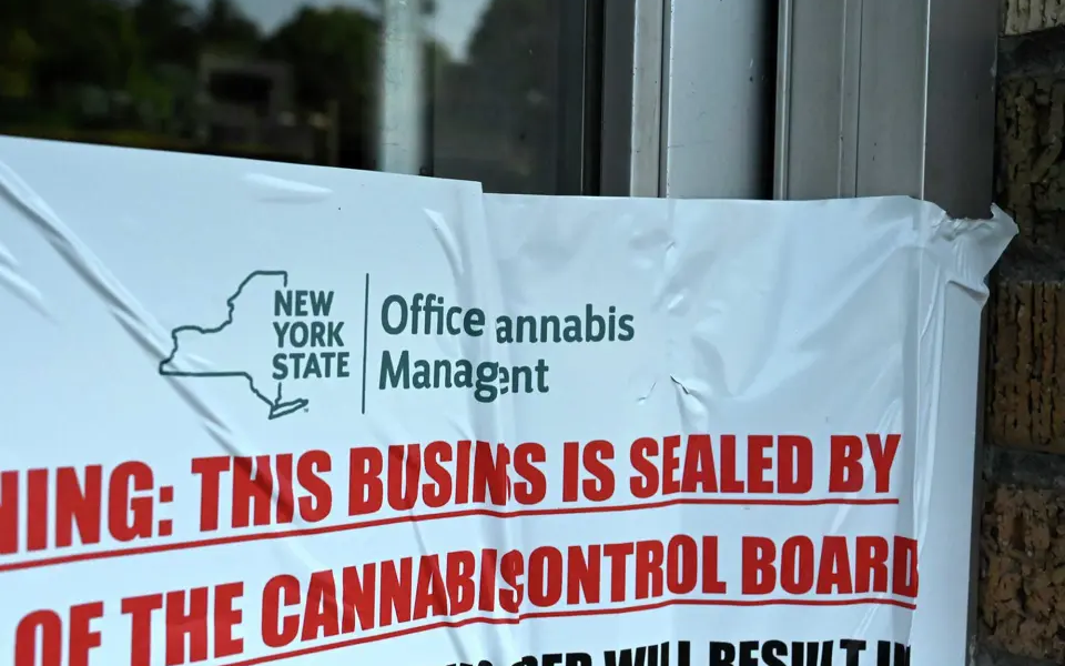 New York Cannabis Processors Face Deadline To Implement ‘Seed-To-Sale’ System