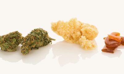 Ohio Hemp and Cannabis Changes Take Effect This Week