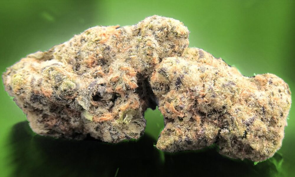 Purple Punch Mints #11 Marijuana Monday