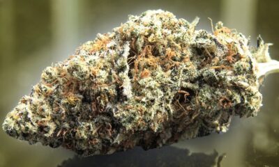 Redneck Frosting Marijuana Monday