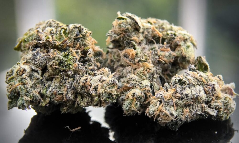 Runtz Marijuana Monday