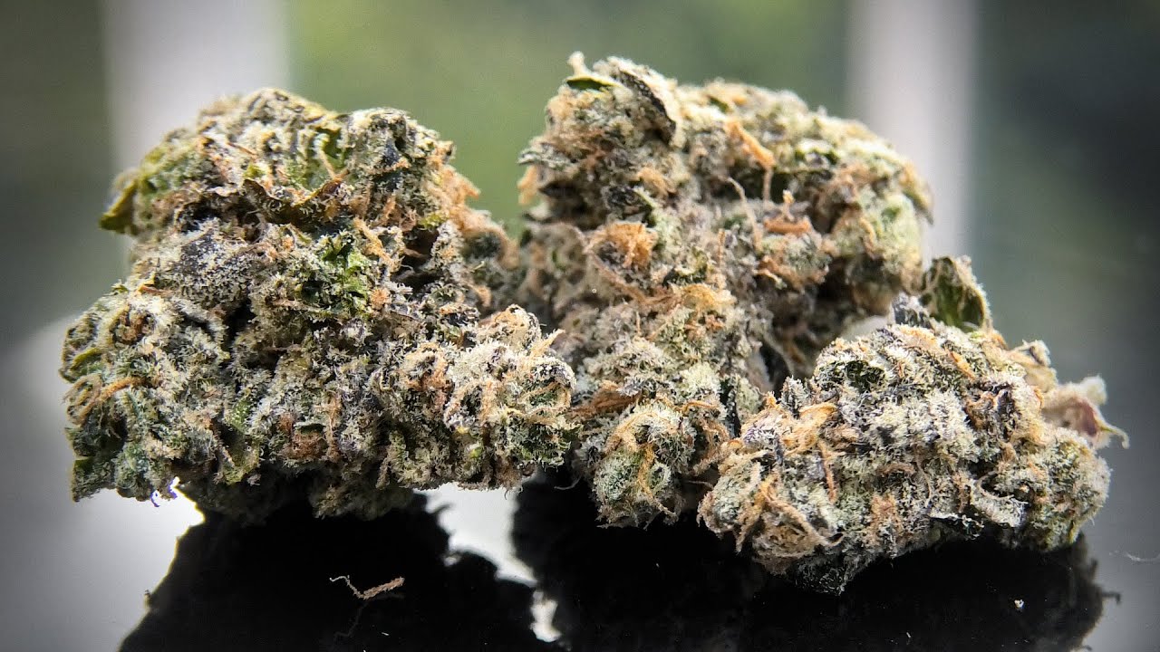 Runtz Marijuana Monday