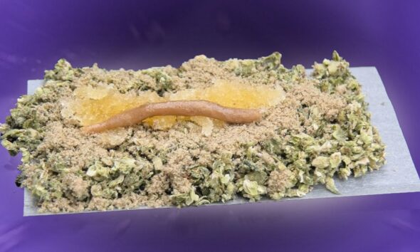 SUPERCHARGED SATURDAY!