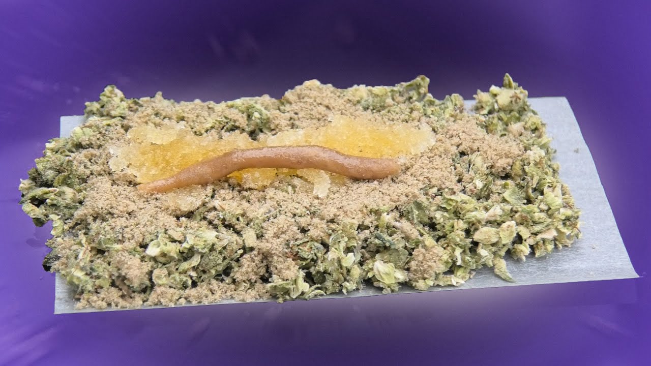 SUPERCHARGED SATURDAY!