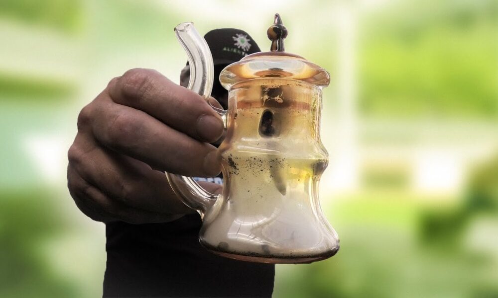 Tremblant Hash Worm Wednesday