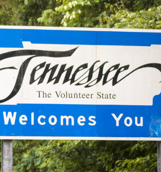 Marijuana Retail Report