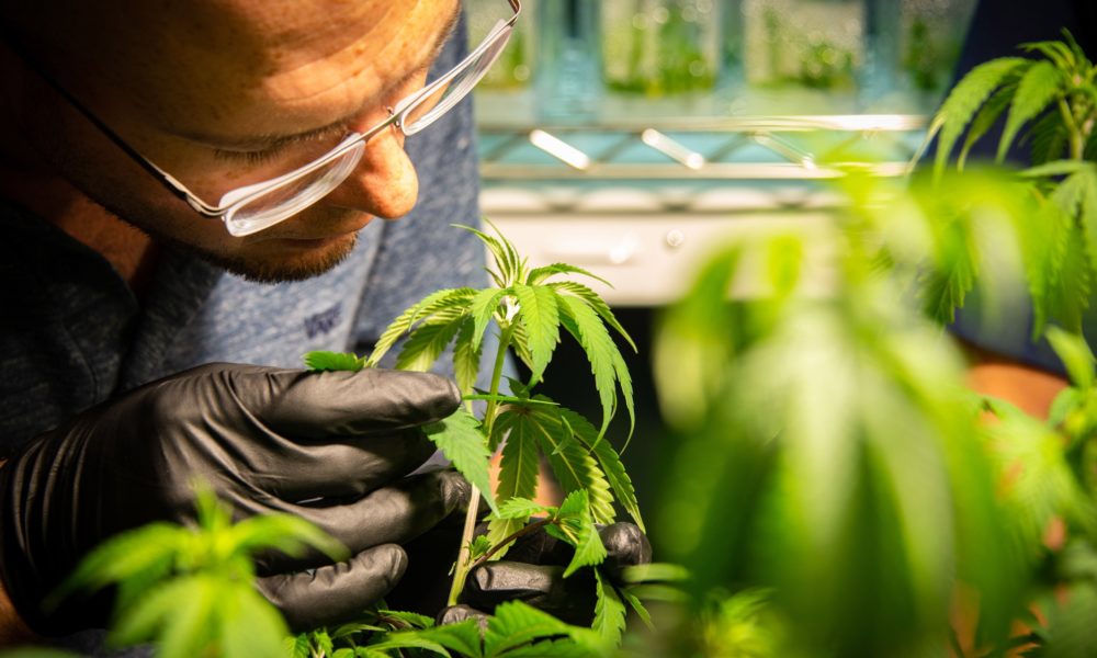 Marijuana Retail Report