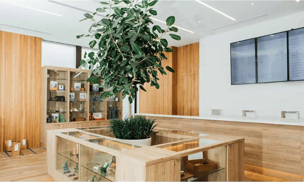 Marijuana Retail Report