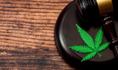 Anti-Cannabis Coalition Sues Trump Admin Over Medicare Hemp Coverage Plan