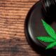 Anti-Cannabis Coalition Sues Trump Admin Over Medicare Hemp Coverage Plan