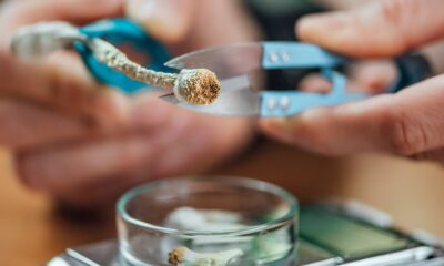 FDA Fast-Tracks Review Process for Three Psychedelic Drugs