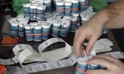 MA Governor Healey Approves Shakeup Of Mass. Cannabis Laws