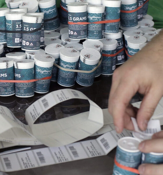 MA Governor Healey Approves Shakeup Of Mass. Cannabis Laws