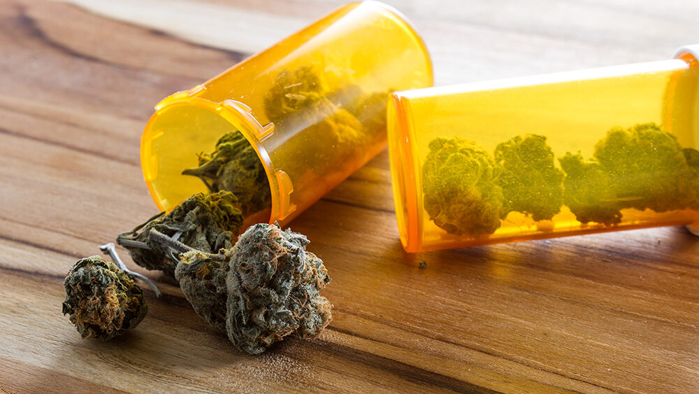 Maine House Rejects Testing Bill for Medical Cannabis Caregivers  