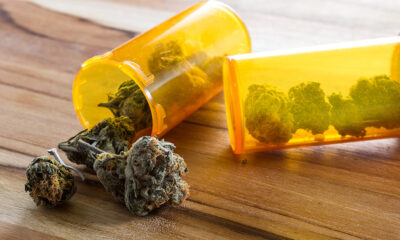 Maine House Rejects Testing Bill for Medical Cannabis Caregivers  