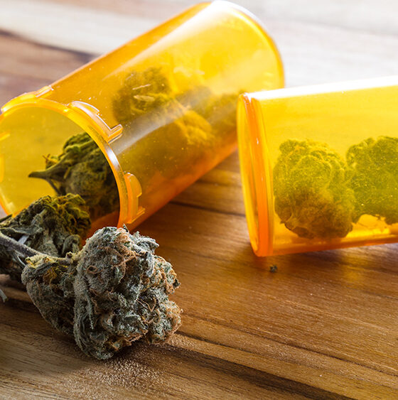 Maine House Rejects Testing Bill for Medical Cannabis Caregivers  