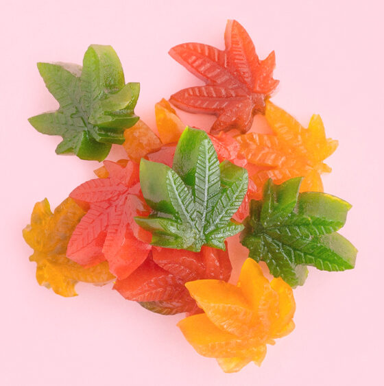 Missouri Gov. Signs Bill to Align State Hemp Rules with Federal Changes 