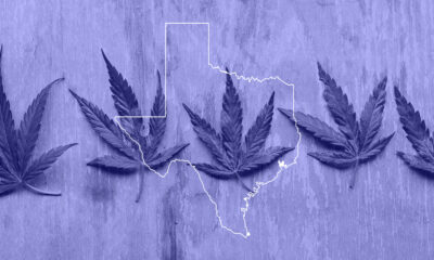 Smokable Hemp Sales Extended In Texas Following Trial Delays