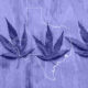 Smokable Hemp Sales Extended In Texas Following Trial Delays