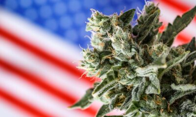 The Biggest Things About Schedule III You Haven’t Thought Of