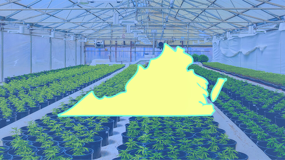 Virginia Lawmakers Reject Governor’s Amended Cannabis Sales Proposal