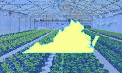 Virginia Lawmakers Reject Governor’s Amended Cannabis Sales Proposal