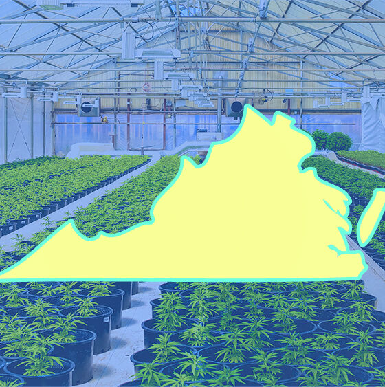 Virginia Lawmakers Reject Governor’s Amended Cannabis Sales Proposal