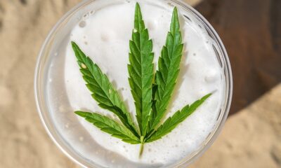 Washington, D.C. Mayor Proposes Partnerships Between Medical Cannabis Companies and Breweries