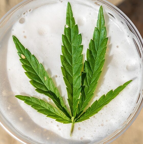 Washington, D.C. Mayor Proposes Partnerships Between Medical Cannabis Companies and Breweries