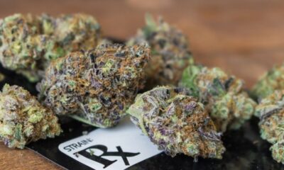 Marijuana Retail Report