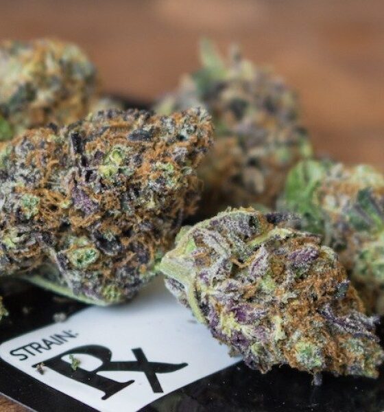 Marijuana Retail Report