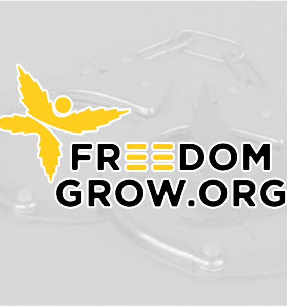 Freedom Grow Expands Its Mission from Prisoner Support to Nationwide Community Activation