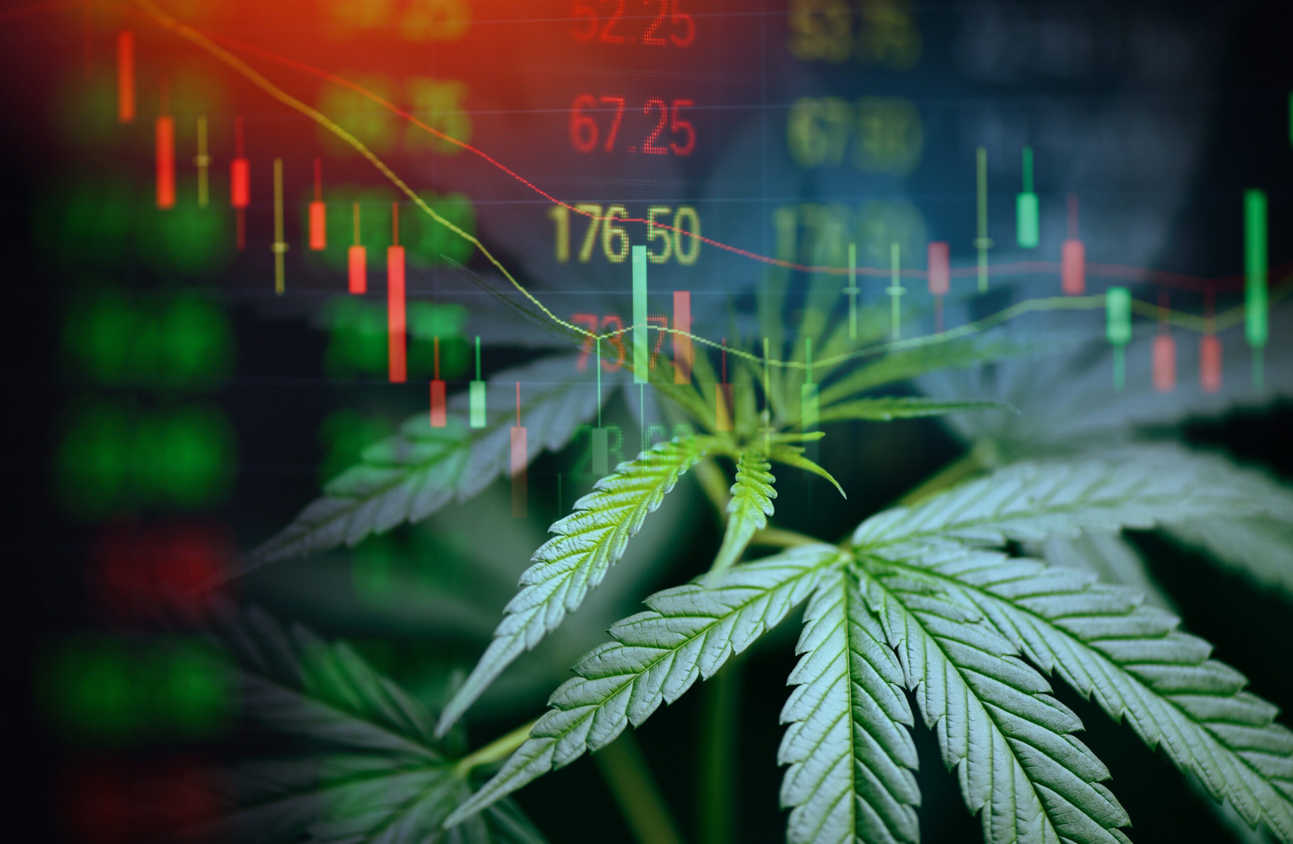 Glass House Bets On Rescheduling, NewLake Capital Delivers