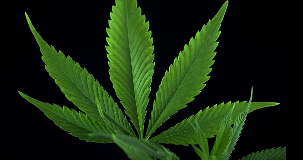 House Passes Farm Bill Targeting Intoxicating Hemp, Senate Up Next