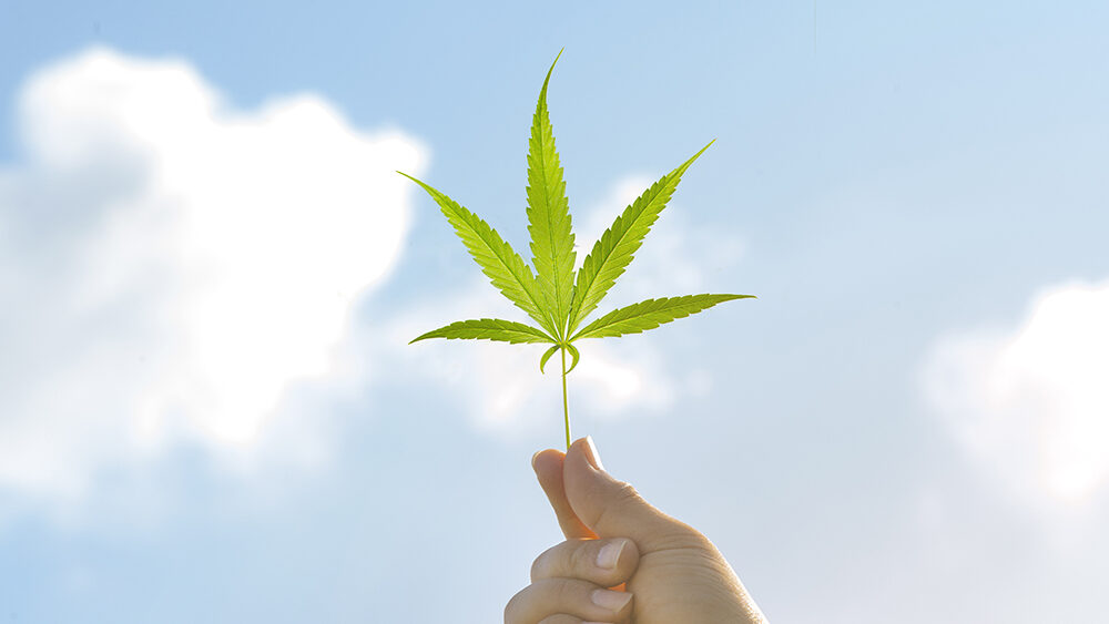 Investigation Deems Kentucky Medical Cannabis Licensing Process ‘Transparent and Fair’