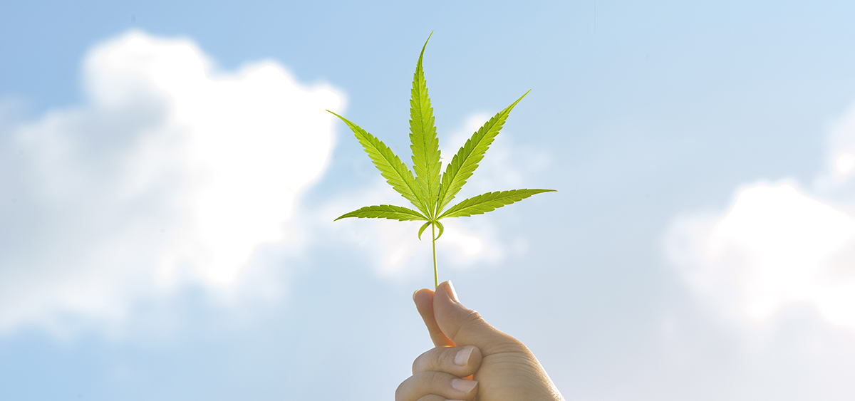 Investigation Deems Kentucky Medical Cannabis Licensing Process ‘Transparent and Fair’