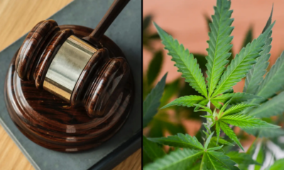 Marijuana Retail Report