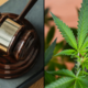 Marijuana Retail Report