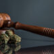 Republican Attorneys General Sue to Block Trump’s Cannabis Rescheduling Order