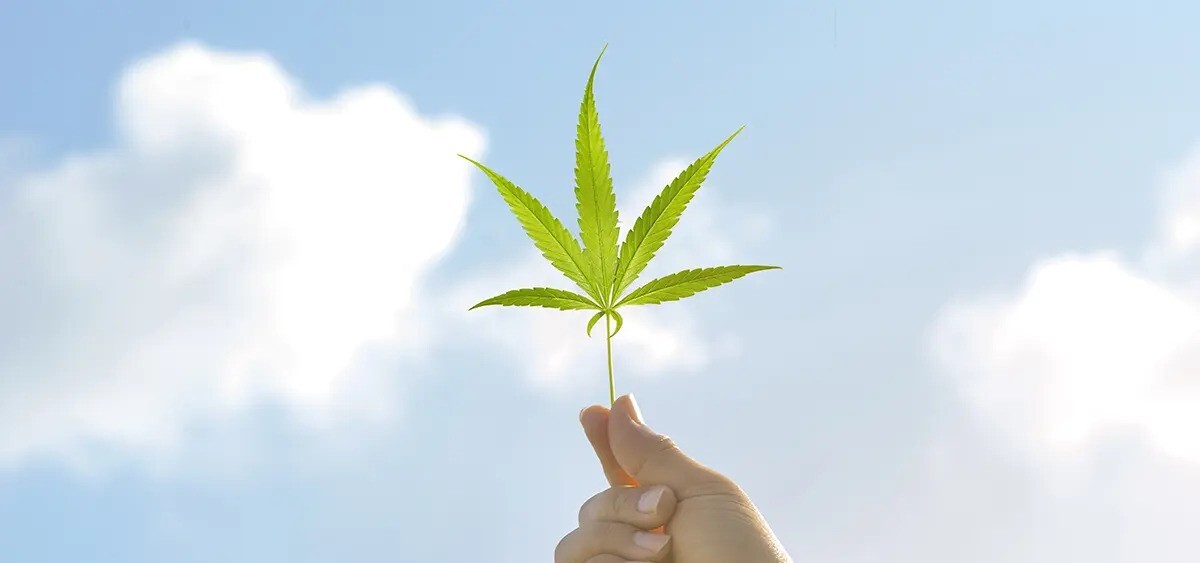 Survey: 67% of Gen Z Have Consumed Cannabis, 28% Report Daily Consumption