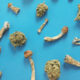 Survey: Americans Microdose Cannabis Far More Than Psychedelics