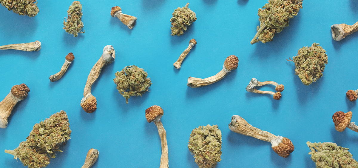 Survey: Americans Microdose Cannabis Far More Than Psychedelics