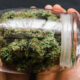 Texas Hemp Flower and Pre-Roll Ban Delayed Yet Again