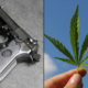 Marijuana Retail Report
