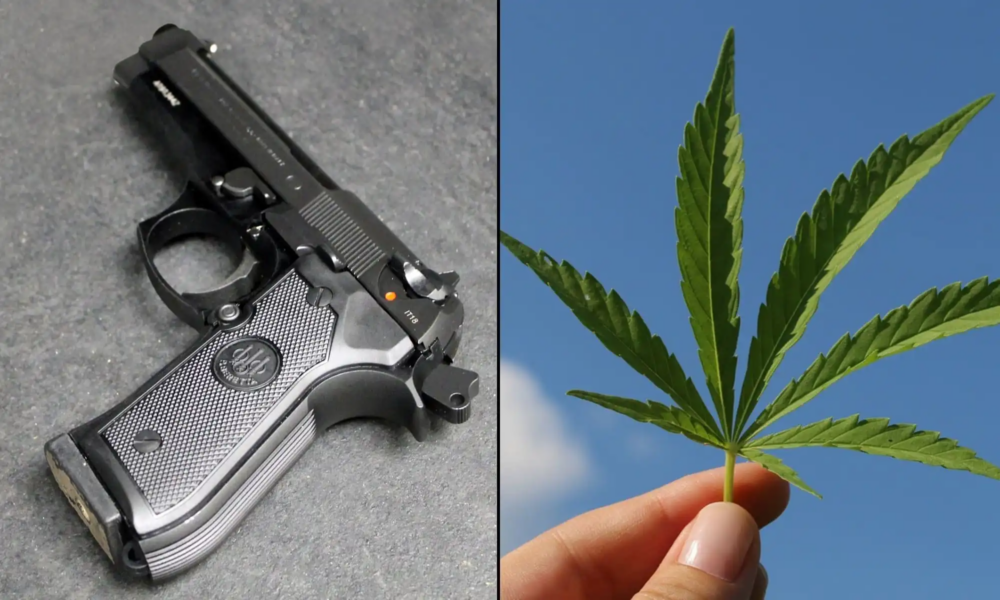 Marijuana Retail Report